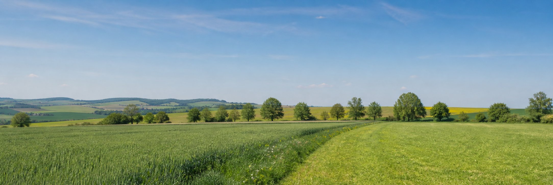 Acker und Grünland in einer österreichischen Kulturlandschaft